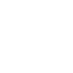 Dance Bug